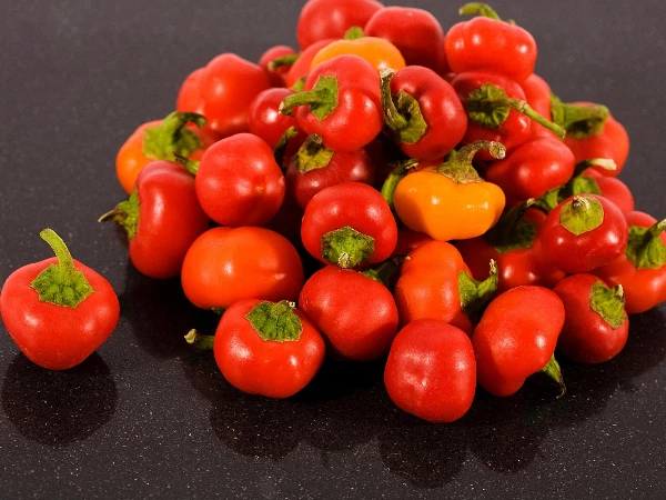 Canada's June 2023 Import of Pimenta Peppers Soars to $4.1M